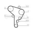 CONTINENTAL CTAM CT946 Zahnriemen