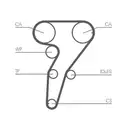 CONTINENTAL CTAM CT947 Zahnriemen