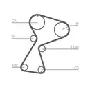 CONTINENTAL CTAM CT949 Zahnriemen