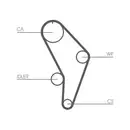 CONTINENTAL CTAM CT926 Zahnriemen