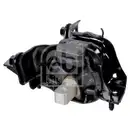 FEBI BILSTEIN 175341 Motorlager für VW, SEAT, AUDI, SKODA