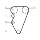 CONTINENTAL CTAM CT974 Zahnriemen