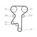CONTINENTAL CTAM CT975 Zahnriemen
