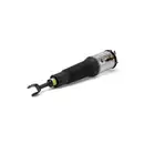 ArnottEurope AS-2775 Air Spring Strut