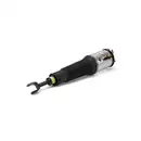 ArnottEurope AS-2776 Air Spring Strut