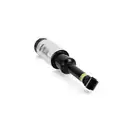 ArnottEurope AS-2809 Air Spring Strut