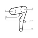 CONTINENTAL CTAM CT1155WP1 Zahnriemen Kit + Wasserpumpe