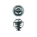 MAHLE TX 117 95D Thermostateinsatz mit Dichtung