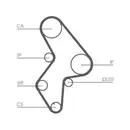 CONTINENTAL CTAM CT1061 Zahnriemen
