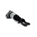 ArnottEurope Air Spring Strut AS-3164