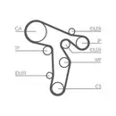 CONTINENTAL CTAM CT1134K1 Zahnriemen Kit