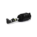 ArnottEurope AS-3422 Air Spring Strut