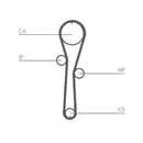 CONTINENTAL CTAM CT1045WP1 Zahnriemen Kit + Wasserpumpe