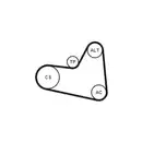 CONTINENTAL CTAM 6PK976K1 Keilrippenriemen Kit