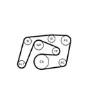 CONTINENTAL CTAM 6PK2260K1 Keilrippenriemen Kit