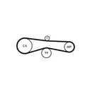 CONTINENTAL CTAM CT1131 Zahnriemen