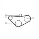 CONTINENTAL CTAM CT800 Zahnriemen