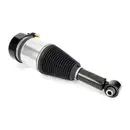 ArnottEurope Air Spring Strut AS-3800
