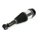ArnottEurope Air Spring Strut AS-3801