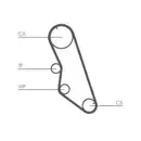 CONTINENTAL CTAM CT754WP1 Zahnriemen Kit + Wasserpumpe