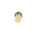 Kraftstofffilter Bosch 2 447 010 042 für Ford für Iveco für Khd für Man