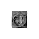 FEBI BILSTEIN 170393 Magnetventil