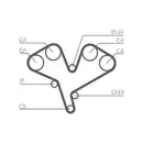 CONTINENTAL CTAM CT884 Zahnriemen