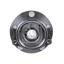 FEBI BILSTEIN 172498 Radlagersatz