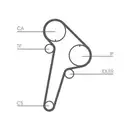 CONTINENTAL CTAM CT891 Zahnriemen