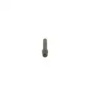 BOSCH 0 437 502 023 Einspritzventil