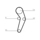 CONTINENTAL CTAM CT988WP2 Zahnriemen Kit + Wasserpumpe