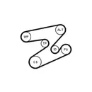 Keilrippenriemensatz Continental Ctam 6PK1893K1