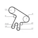 CONTINENTAL CTAM CT1043WP1 Zahnriemen Kit + Wasserpumpe