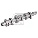FEBI BILSTEIN 103698 Nockenwelle für SKODA, SEAT, VW