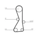 CONTINENTAL CTAM CT1016 Zahnriemen