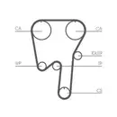 CONTINENTAL CTAM CT979WP2 Zahnriemen Kit + Wasserpumpe