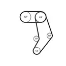 CONTINENTAL CTAM CT939K6PRO Zahnriemen Kit