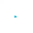 BOSCH 1 904 529 906 Sicherung