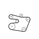 CONTINENTAL CTAM 6PK1538K1 Keilrippenriemen Kit
