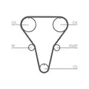 CONTINENTAL CTAM CT769K1 Zahnriemen Kit