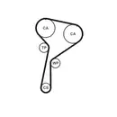 CONTINENTAL CTAM CT1184WP1 Zahnriemen Kit + Wasserpumpe