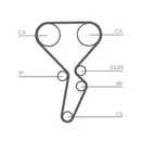CONTINENTAL CTAM CT1179WP4 Zahnriemen Kit + Wasserpumpe