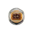 Sensor Kraftstoffdruck Febi Bilstein 171258 für Citroën für Opel für Peugeot