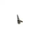 Einspritzdüse Bosch 0 445 110 652 für Renault
