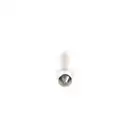 BOSCH 1 987 302 520 Glühlampe 5W 24V SV8,5-8