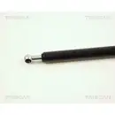 Gasfeder Koffer /laderaum Triscan 8710 25211 für Renault