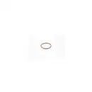 Gummiring Bosch F 00H N37 810