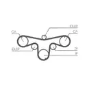 CONTINENTAL CTAM CT1079 Zahnriemen
