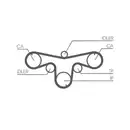 CONTINENTAL CTAM CT1079 Zahnriemen