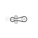 CONTINENTAL CTAM 6PK922 EXTRA K1 Keilrippenriemen Kit für AUDI